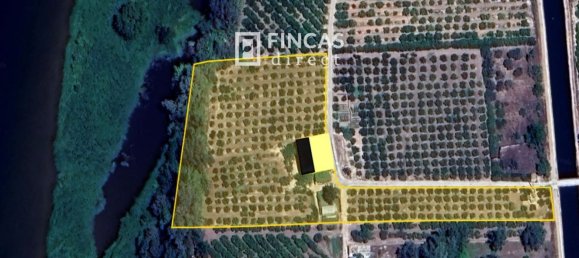 Дом с 3 спальнями в Тортоса, Испания № 49511 19