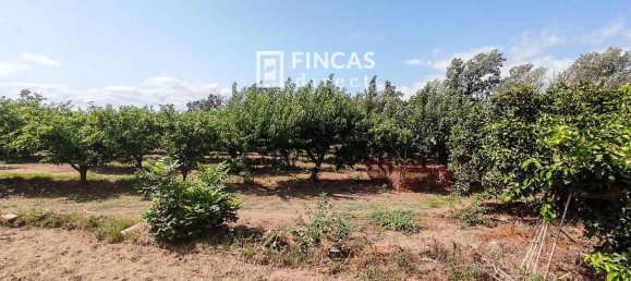 Дом с 3 спальнями в Тортоса, Испания № 49511 12