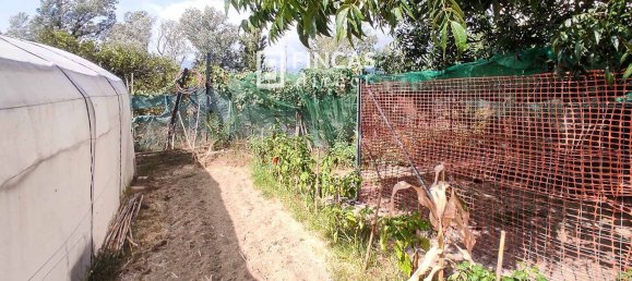 Дом с 3 спальнями в Тортоса, Испания № 49511 9