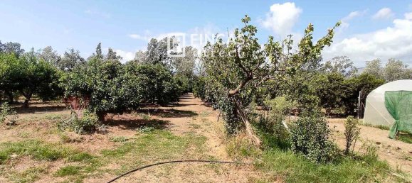 Дом с 3 спальнями в Тортоса, Испания № 49511 10