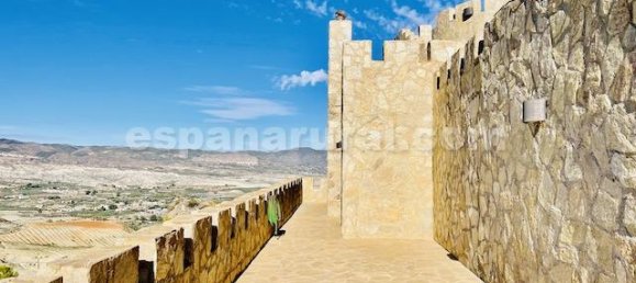 4 bedrooms Villa in Tijola, Spain No. 7328 20