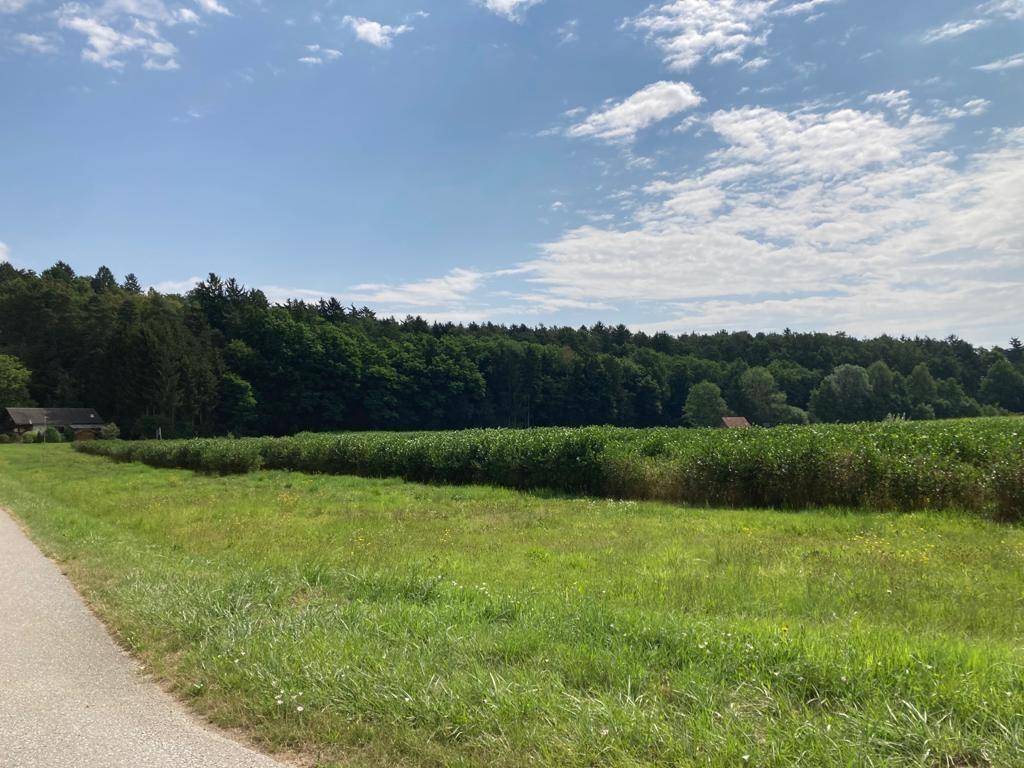 1952m² Land in Bad Blumau, Austria No. 153585