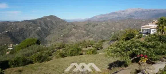 5 bedrooms House in Sayalonga, Spain No. 50377 24