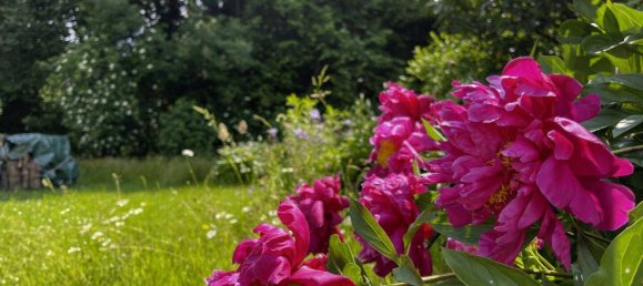 7 rooms House in Ferndorf, Austria No. 243149 7