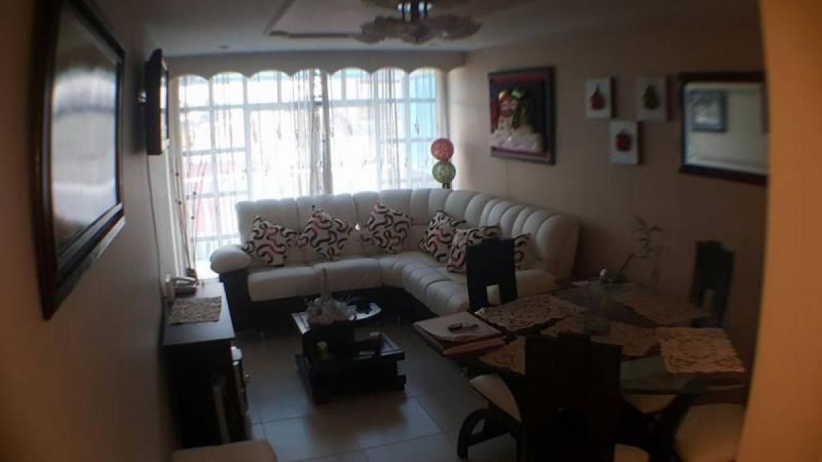 7 chambres Maison à Bogota, Colombia No. 11110