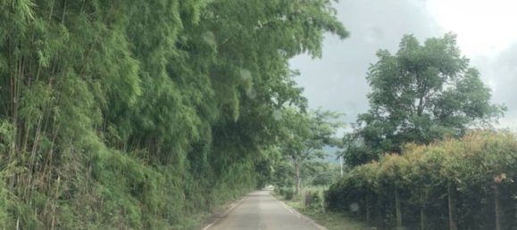  Land in Chiang Rai, Thailand No. 26819 3