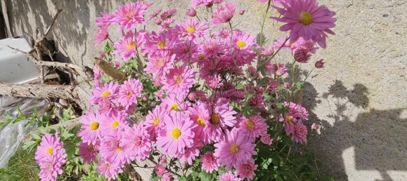 Casa de 5 habitaciónes en Radenthein, Austria No. 208984 20