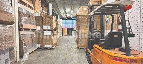 5غرفة مستودع في Porcari, Italy رقم 115451 33