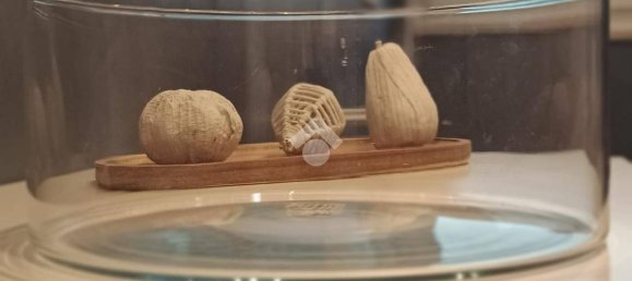 1 غرف نوم شقة في Udine, Italy رقم 313648 13