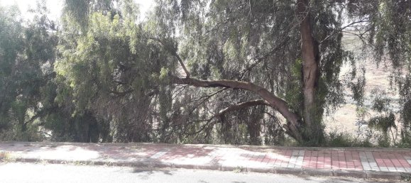 Terreno en Las Palmas De Gran Canaria, Spain 208 m² No. 101450 6