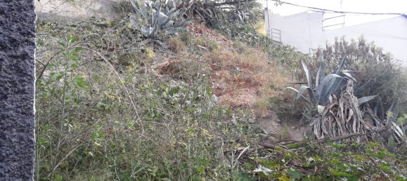 Terreno en Las Palmas De Gran Canaria, Spain 208 m² No. 101450 7