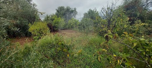 Casa T2 em Abrantes, Portugal N.º 29998 12