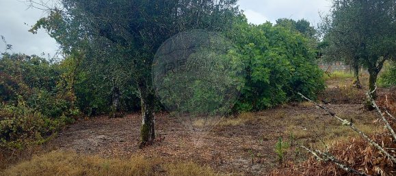 Casa T2 em Abrantes, Portugal N.º 29998 13