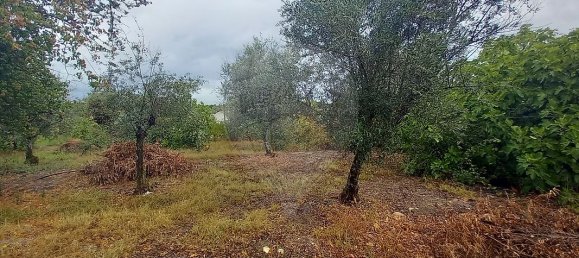 Casa T2 em Abrantes, Portugal N.º 29998 8