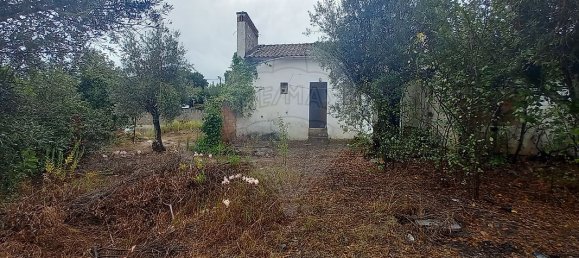 Casa T2 em Abrantes, Portugal N.º 29998 14