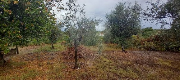 Casa T2 em Abrantes, Portugal N.º 29998 10