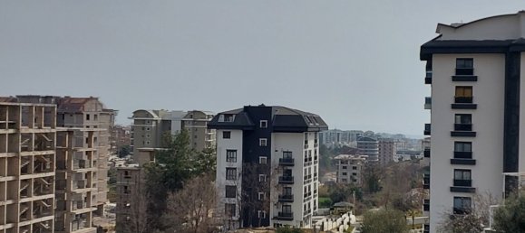 Apartment 1+1 in Avsallar, Turkey No. 31602 15