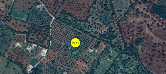 2 chambres Appartement à Ceglie Messapica, Italy No. 297750 7