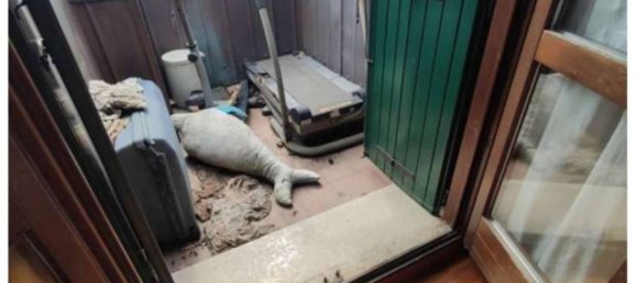 Studio in Vicenza, Italy, Nr. 215674 12