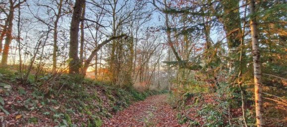 8 bedrooms Castles in Valliere, France No. 341212 19