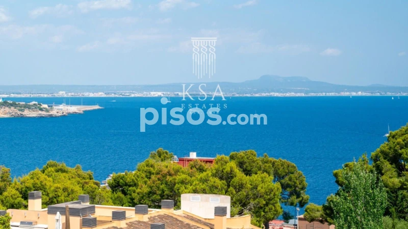 Penthouse T3 em Cas Catala, Spain N.º 173958