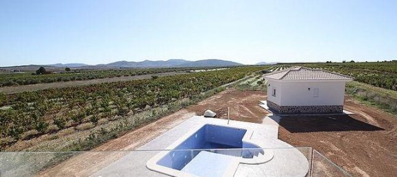 4 bedrooms Villa in Pinoso, Spain No. 11718 18