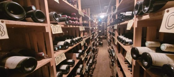 Gewerbliche Immobilie in Soultzmatt, France 712m², Nr. 90276 6