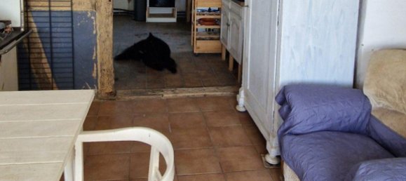 11 rooms House in Rhein-Hunsruck, Germany No. 242760 7