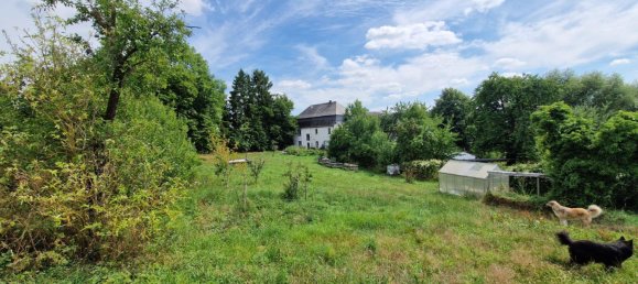 11 rooms House in Rhein-Hunsruck, Germany No. 242760 4