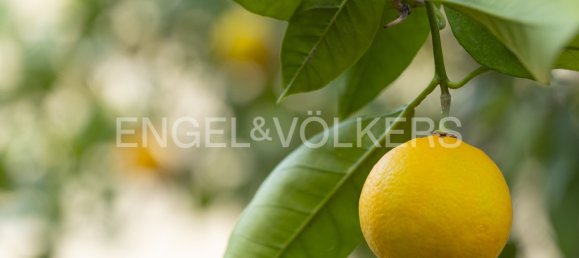 Casa de 3 dormitorios en Ragusa, Italy No. 62529 16