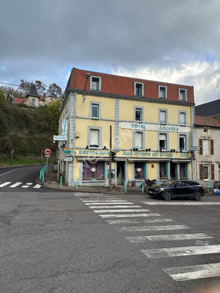 Gewerbliche Immobilie in Meurthe-et-Moselle, France 950m², Nr. 64463