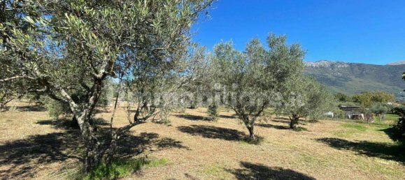  Castillos de 4 dormitorios en Alvito, Italy No. 55818 24