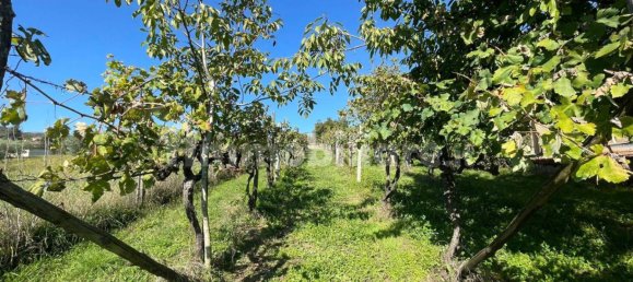  Castillos de 4 dormitorios en Alvito, Italy No. 55818 22