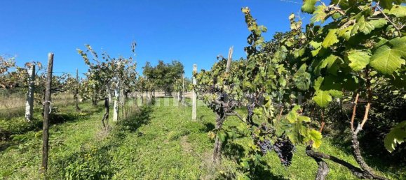  Castillos de 4 dormitorios en Alvito, Italy No. 55818 25