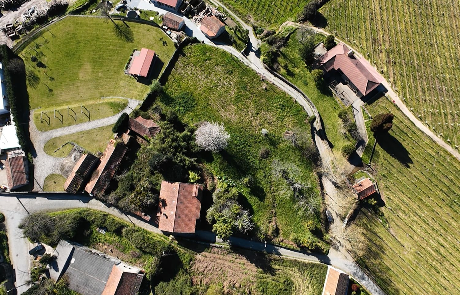 5 bedrooms House in Santo Tirso, Portugal No. 225261