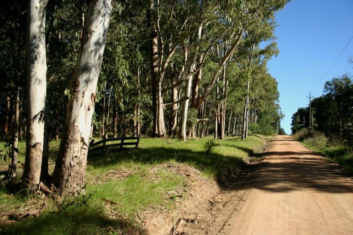  Land in Maldonado, Uruguay No. 15560