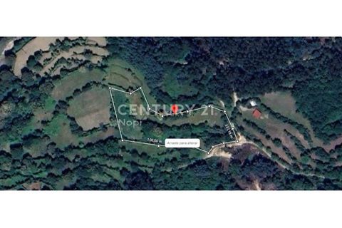  Land in Vieira do Minho, Portugal No. 326892