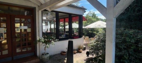 مقهى / مطعم في Rheingau-Taunus, Germany 180متر مربع رقم 323167 4