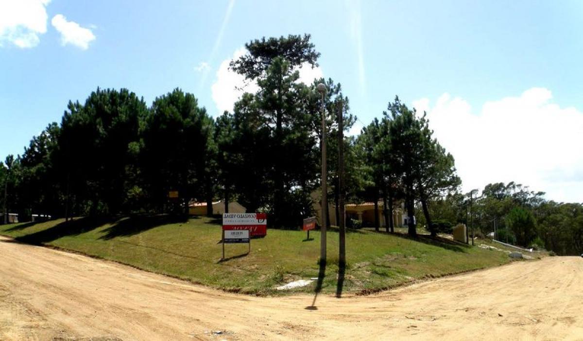  قطعة أرض في Maldonado, Uruguay رقم 15213