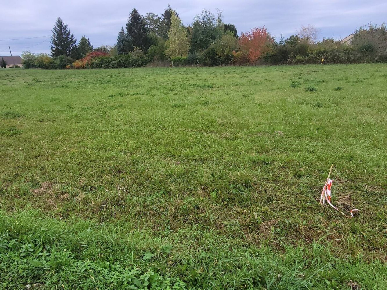  Land in Loiret, France No. 316082
