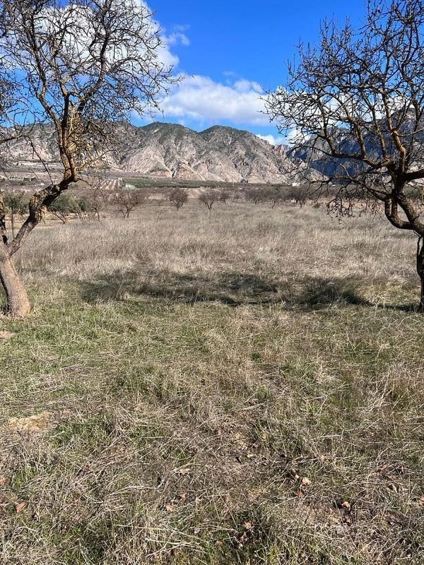 2791m² Land in Durcal, Spain No. 226827