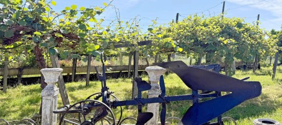 5 bedrooms House in Rois, Spain No. 60110 39