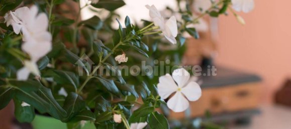 3 bedrooms Villa in Scicli, Italy No. 75864 9