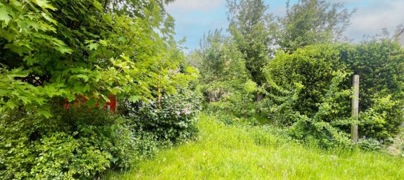 4 غرف نوم تاون هاوس في Borde, Germany رقم 259570 3