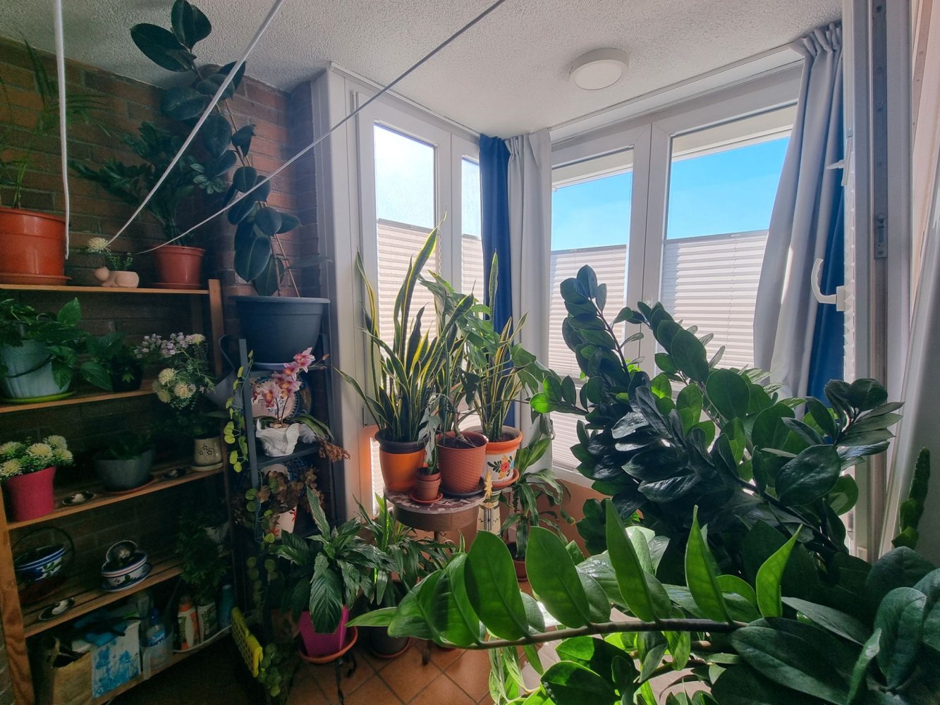 1 bedroom Apartment in Almeria, Spain No. 282355