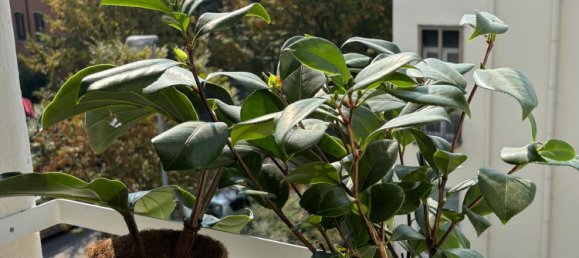 Dúplex de 9 dormitorios en Padua, Italy No. 312527 47