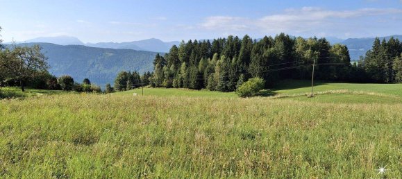  Land in Millstatt am See, Austria No. 219439 6