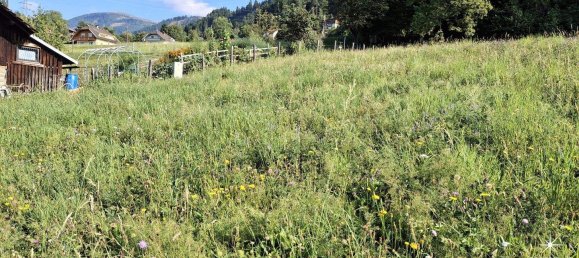  Land in Millstatt am See, Austria No. 219439 5