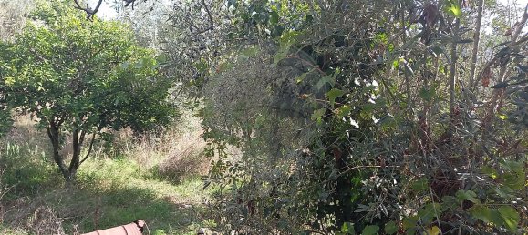 1 غرف نوم منزل في Alvaiazere, Portugal رقم 33476 5