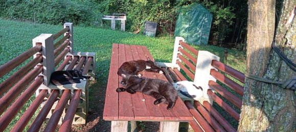 8 rooms Villa in Vobarno, Italy No. 251426 25